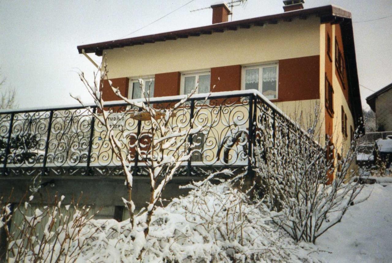 Studio Cosy Avec Vue Sur Lac Et Montagne A Gerardmer 30 M² Kültér fotó